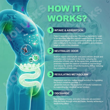 Chlorophyll Body Deodorizing Capsules, with Parsley & Peppermint, Support Gut Health, Reduce Odors, Freshen Breath