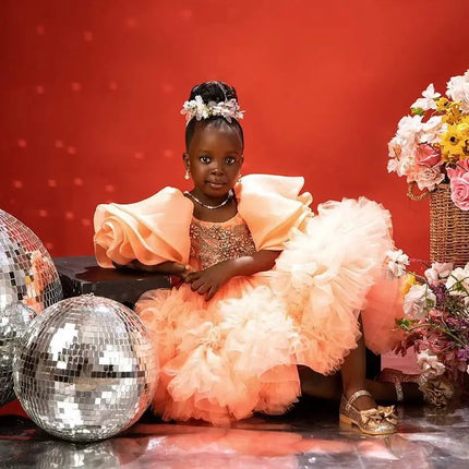 Luxury Beaded Girls Birthday Party Dresses Customized Short Flower Girl Dresses Princess Baby Girls Pageant Gowns for Photoshoot