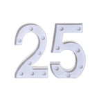 25 / 21x13.5x4.5cm