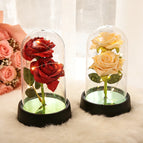 2pcs Set A