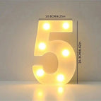5 / 1pc