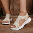 Beige / 43