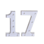 17 / 21x13.5x4.5cm