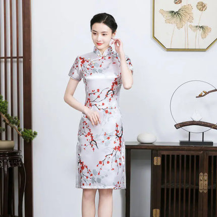 Ethnic Style Party Performance Costume Hanfu Cheongsams Autumn Chinese Style Dress for Women Clothing Fashion Clothes Qipao