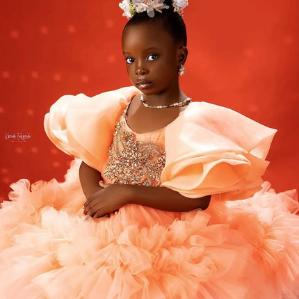 Luxury Beaded Girls Birthday Party Dresses Customized Short Flower Girl Dresses Princess Baby Girls Pageant Gowns for Photoshoot