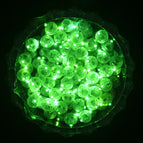 green / 50pcs