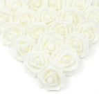 R2 / 10PCS