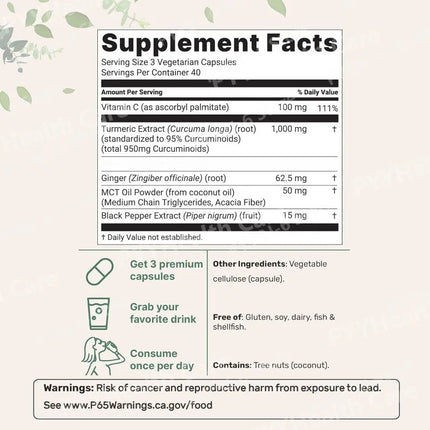 Turmeric Curcumin 95 Capsules 1000mg with Ginger Black Pepper Extract Vitamin C Joint Comfort Antioxidant Support 120 Count