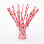 25pcs paper straw