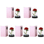 5pcs S1