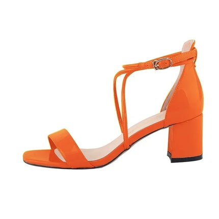 2026 Summer Women Sandals Fashion Sexy Open Toes Thick High Heels Pumps Ankle Strap Work OL Party Dress Wedding Party Shoes