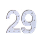 29 / 21x13.5x4.5cm