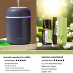 Including Diffuser 11